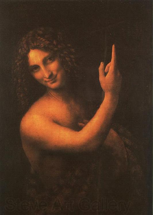  Leonardo  Da Vinci Saint John the Baptist Spain oil painting art